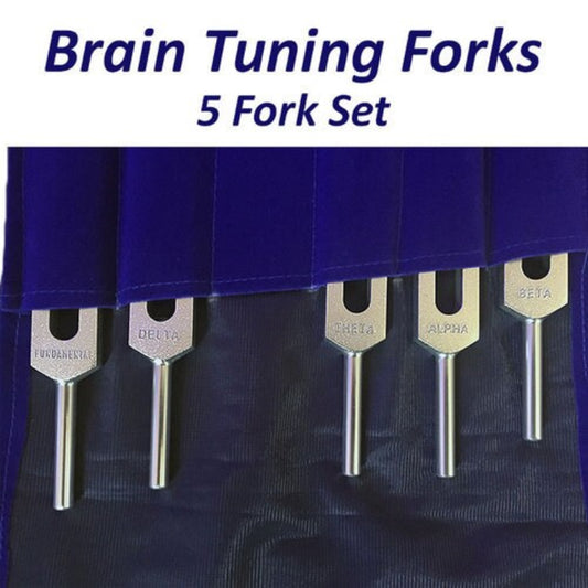 Brain Professional Tuning Fork Set (5 Forks) (15% Xmas Discount)