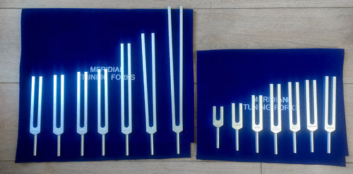 Meridian Tuning Fork Set (14 Forks)