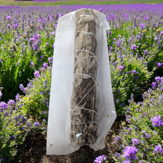 Sage & Lavender Smudge Stick (22.5cm)